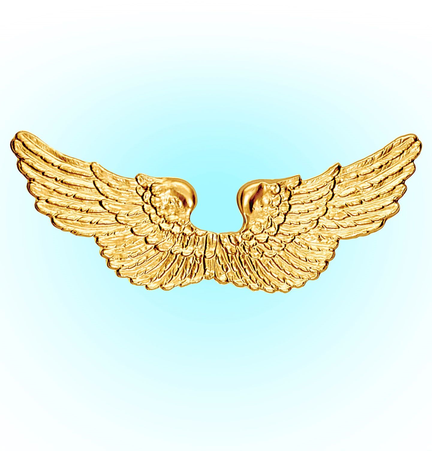 Engel vleugels goud plastic