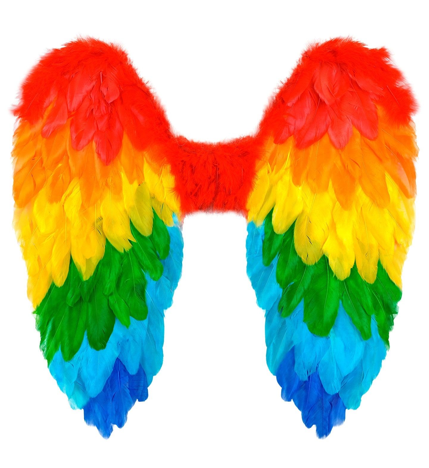 Engelenvleugels Regenboog Veren Dames Heren