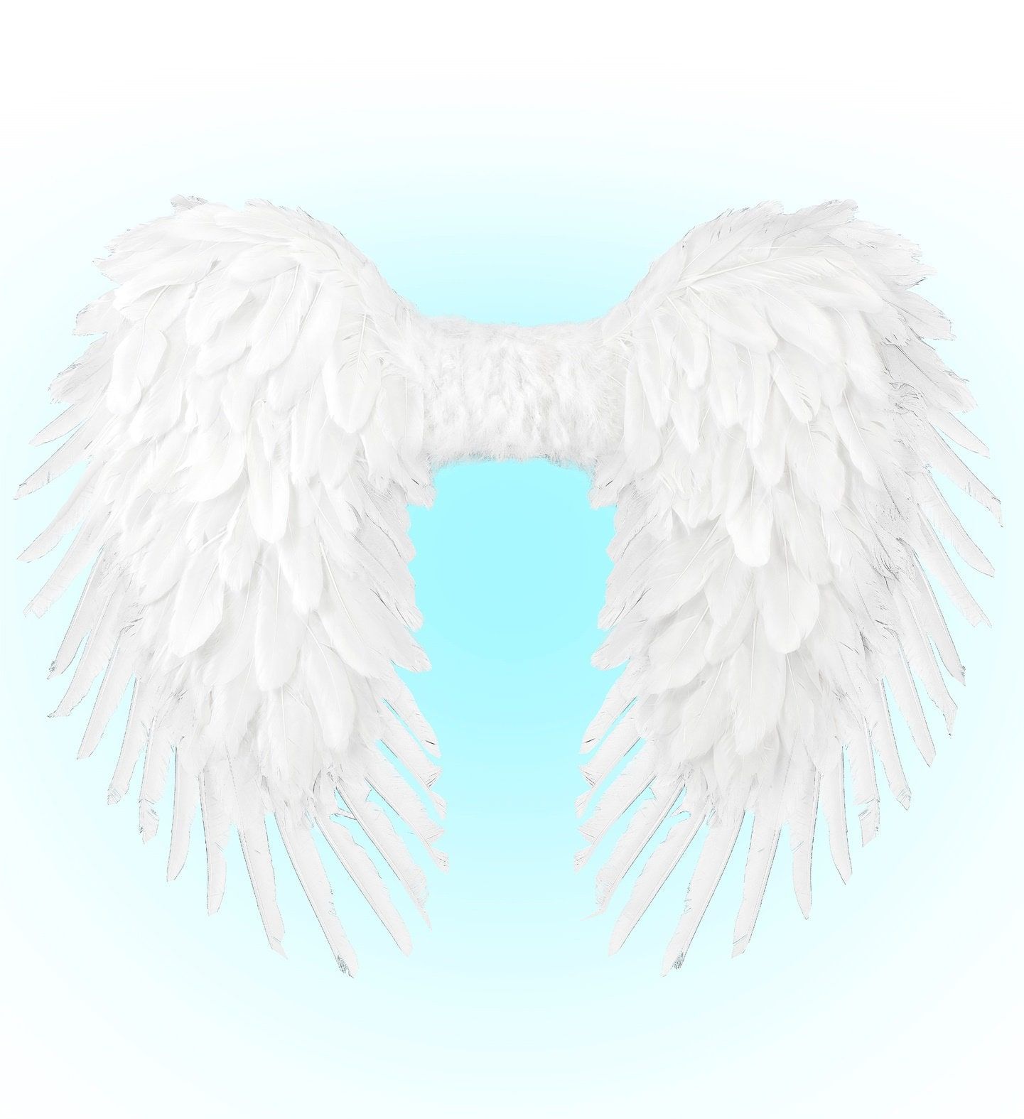 Engelenvleugels Wit Dames Heren Carnaval