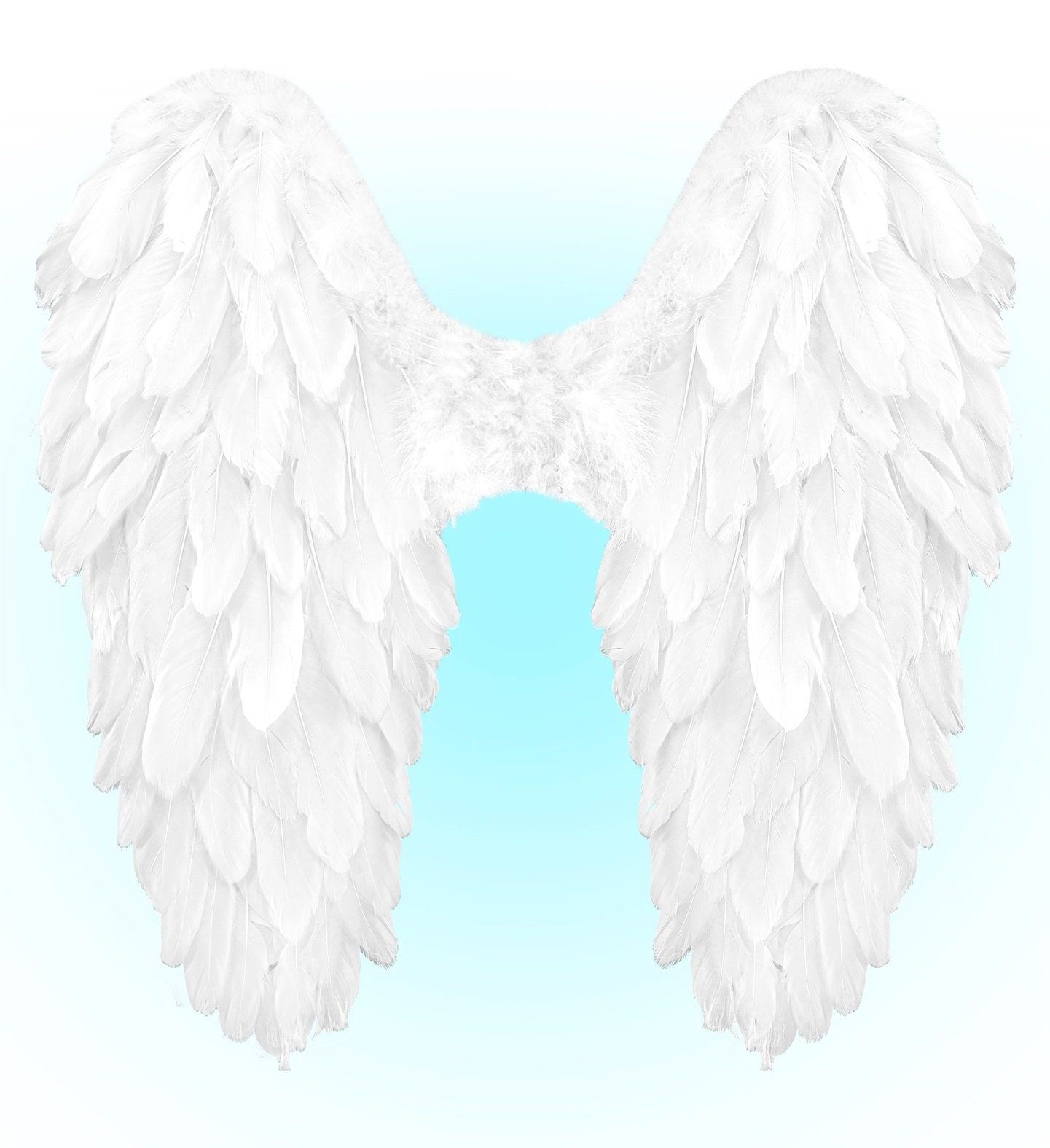 Engelenvleugels Wit Veren Dames Heren