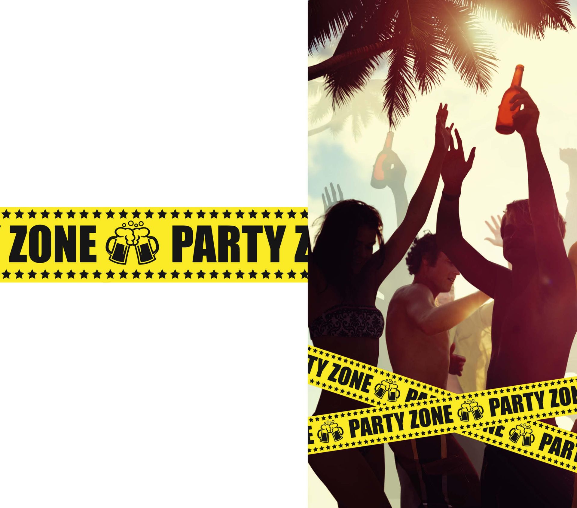 Feest Afzetlint 'Party Zone' 6M