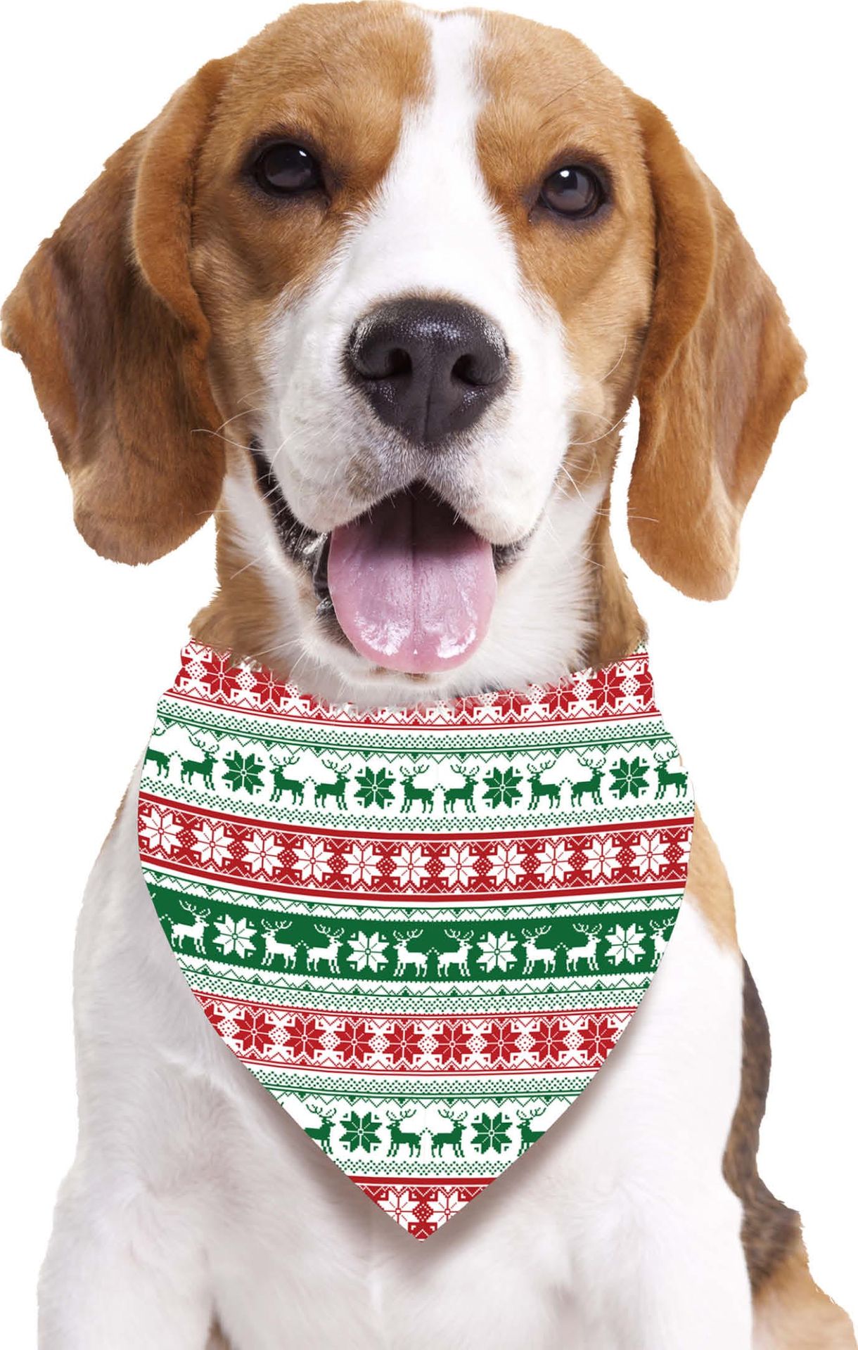 Foute Kerst Sjaal voor Honden met Print