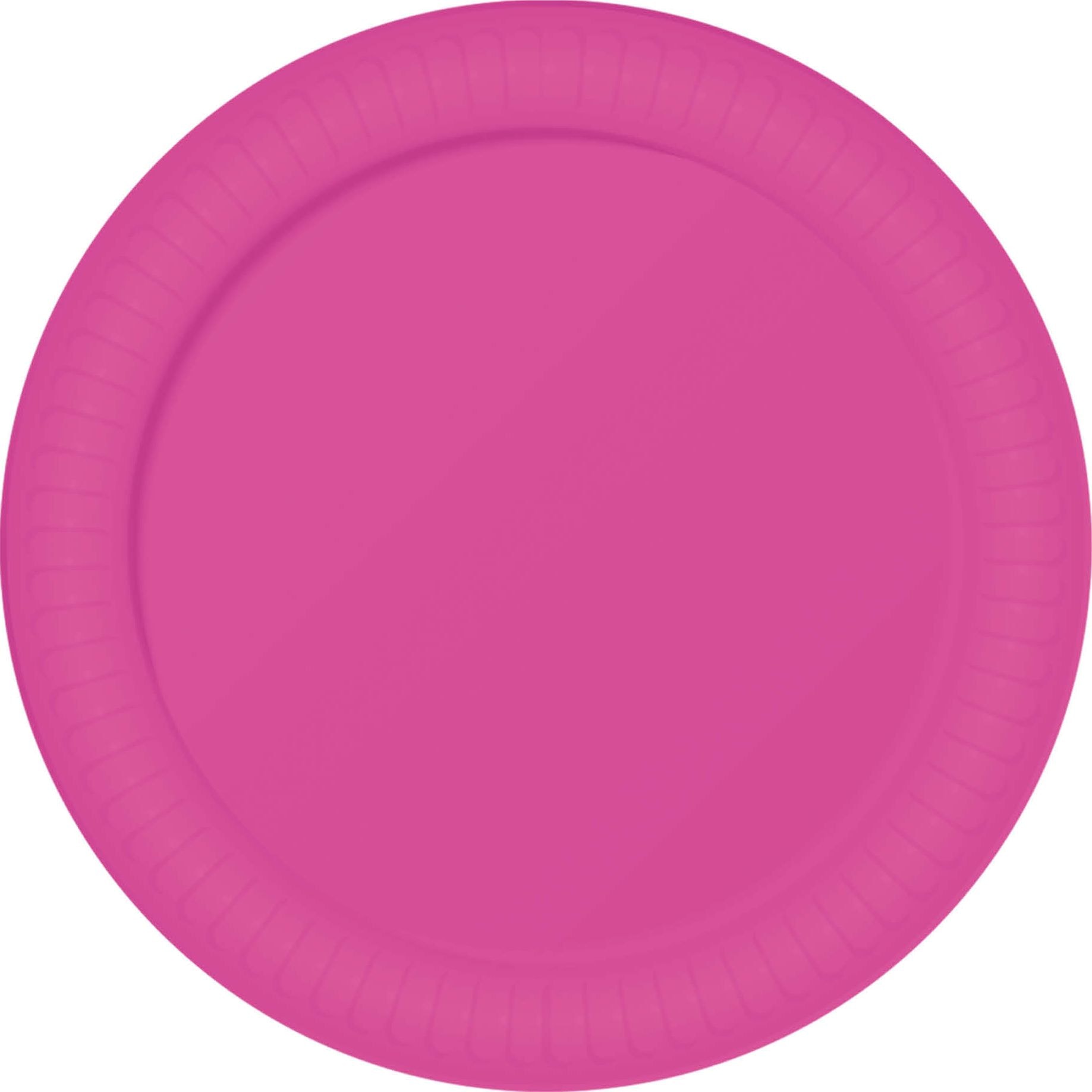 Foute Party Neon Roze Wegwerp Bordjes