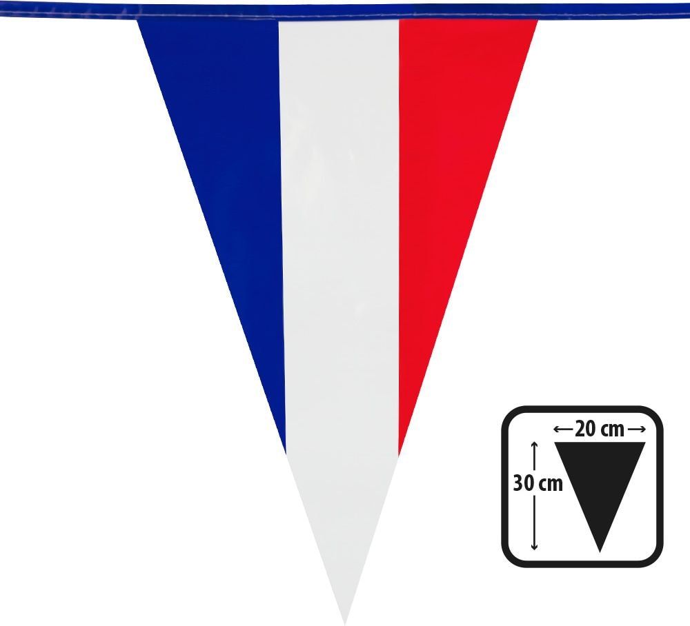 Frankrijk voetbalsupporters vlaggenlijn