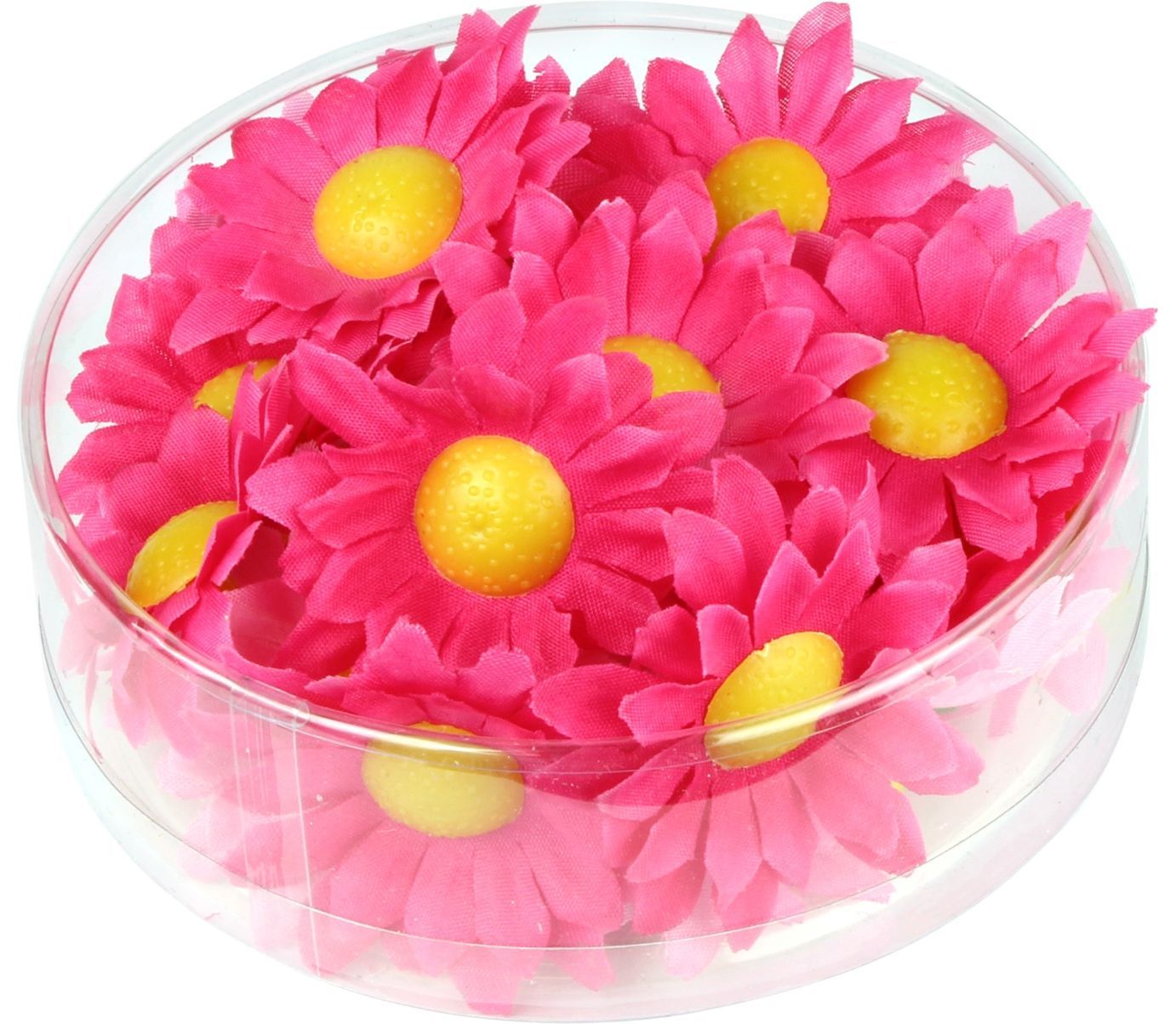 Fuchsia Roze Margrietjes 20 Stuks