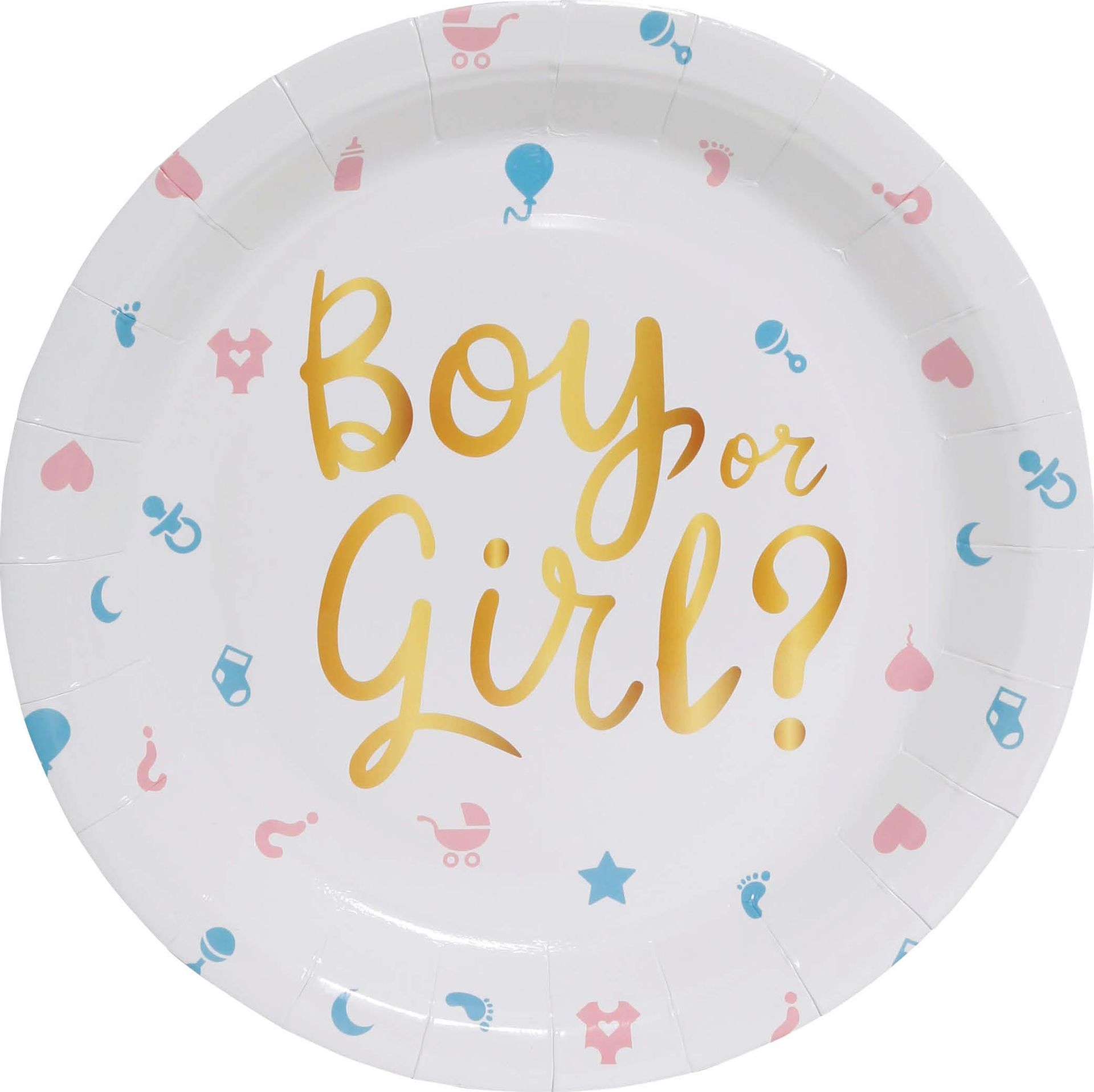 Gender Reveal Baby Wegwerp Bordjes
