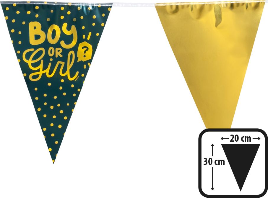Gender Reveal Party Vlaggenlijn