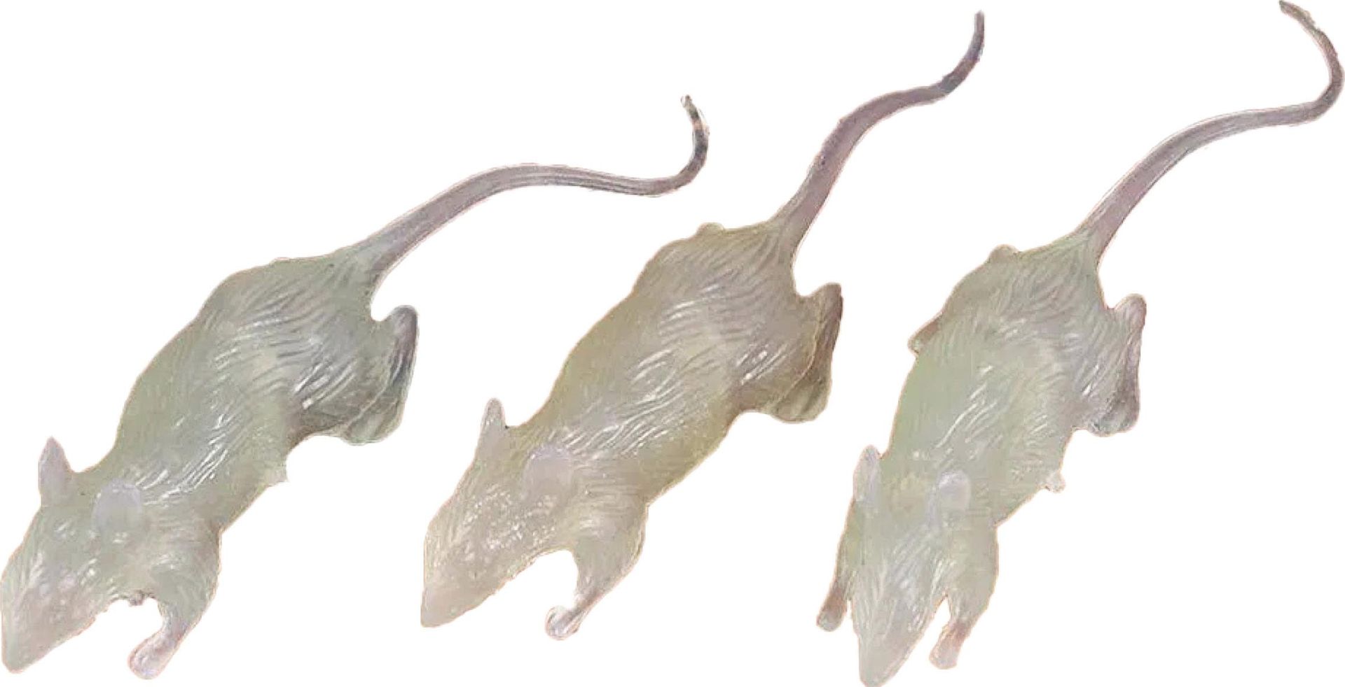 Glow In The Dark Ratten Halloween Decoratie