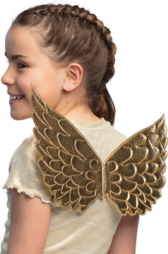 Gouden Engelenvleugels Meisjes