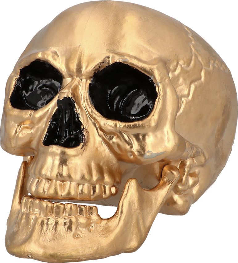 Gouden Halloween Schedel met Beweegbare Kaak