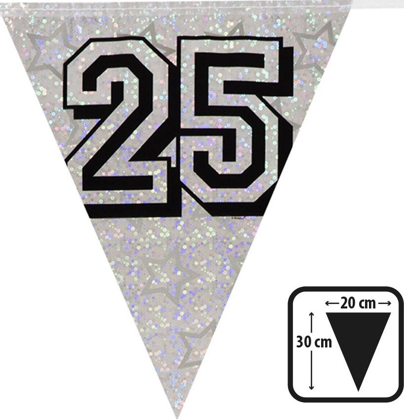 Zilveren Vlaggenlijn 25 Jaar