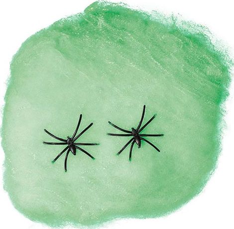 Groen Spinnenweb met 4 Spinnen