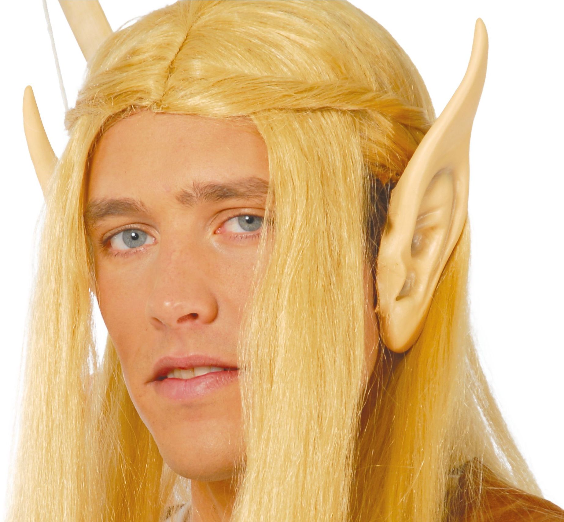 Grote Elven Puntoren