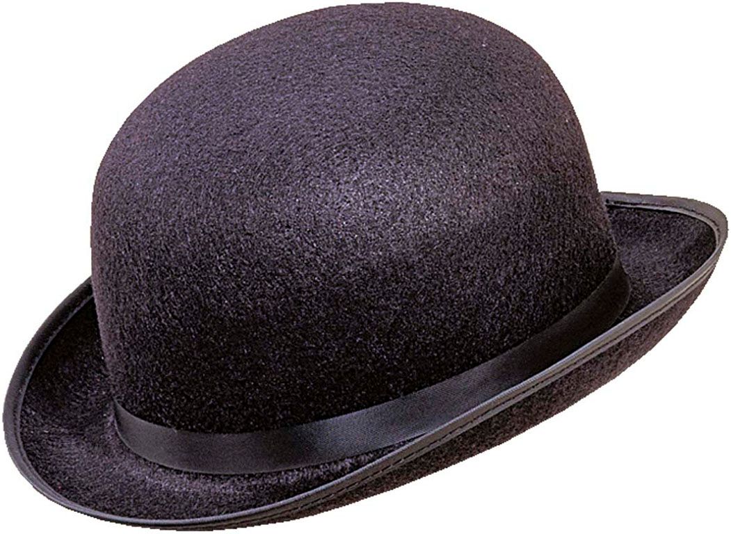 Grote Zwarte Bolhoed