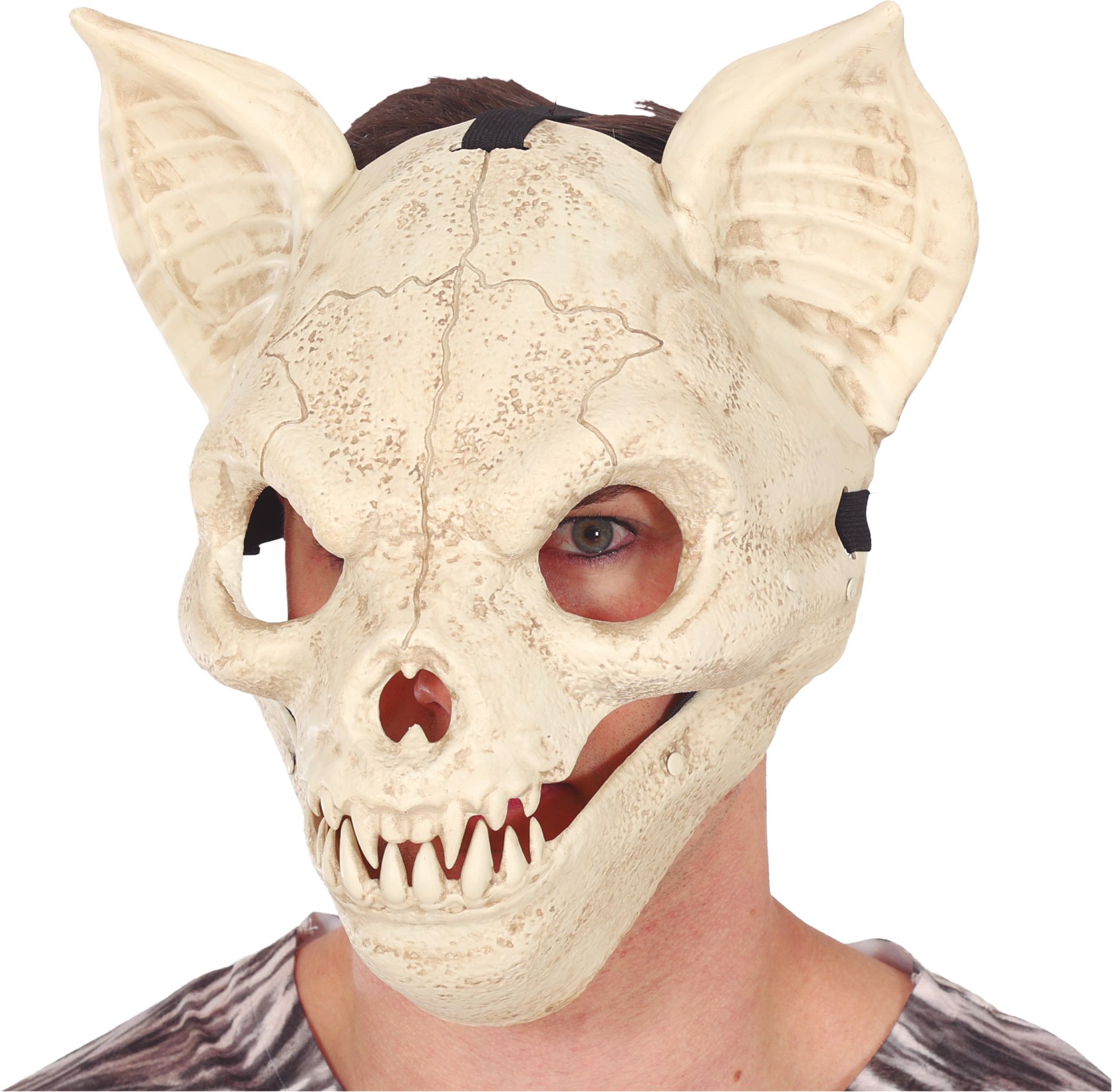 Halloween Beige Pvc Masker Kat Vleermuis