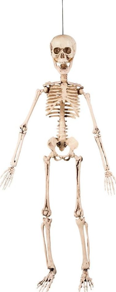 Halloween Beweegbaar Skelet Hangdecoratie 50cm