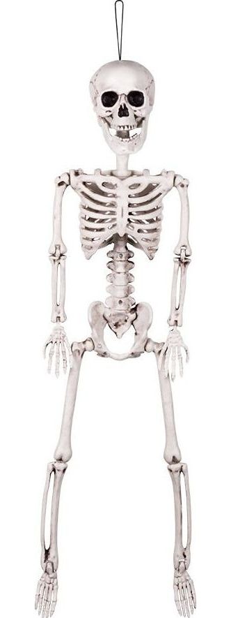 Halloween Beweegbaar Skelet Hangdecoratie 60cm