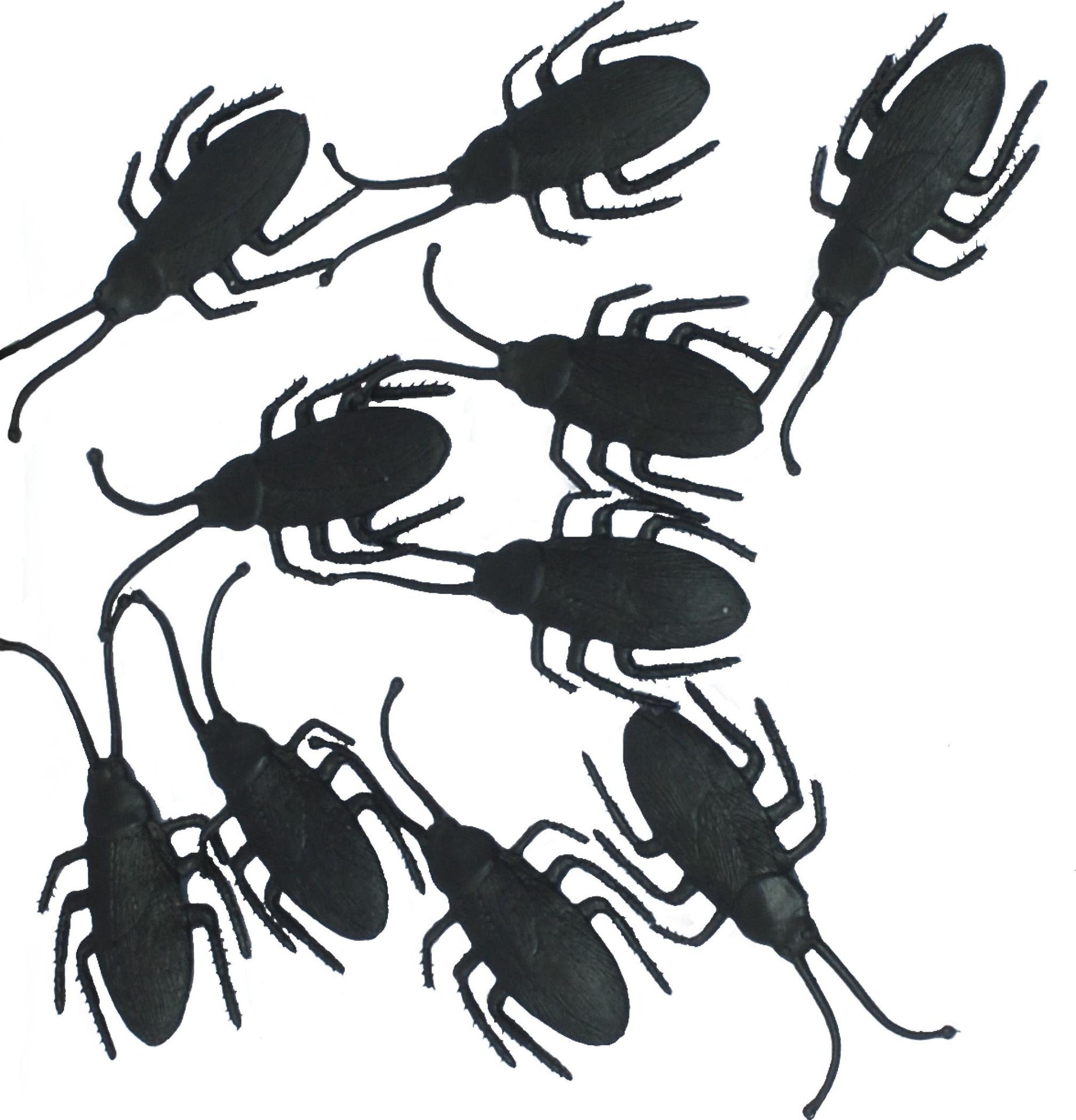 Halloween Decoratie Kevers 10 Stuks