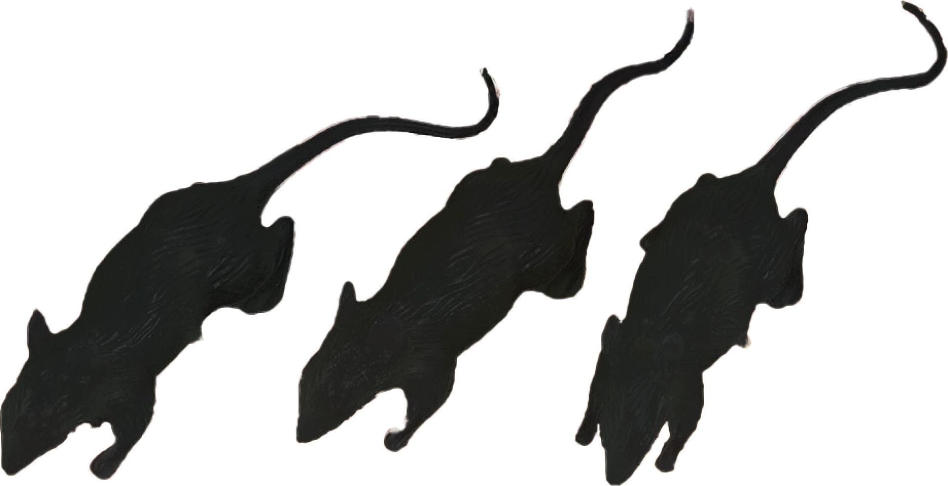 Halloween Decoratie Zwarte Rat 3 Stuks
