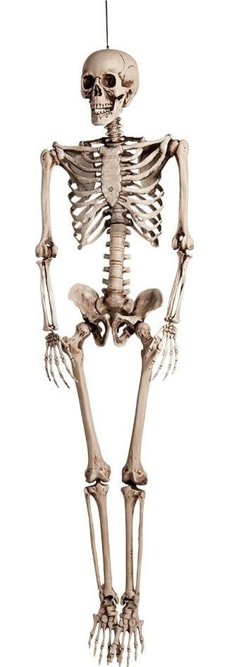 Halloween Hangende Skelet Decoratie