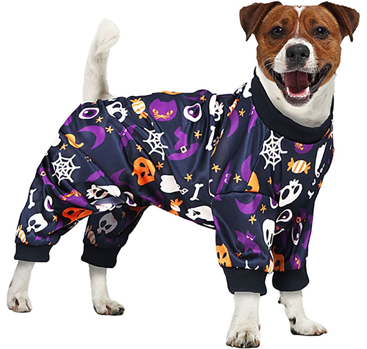 Halloween hond kostuum