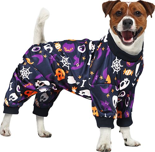 Halloween Hond Kostuum