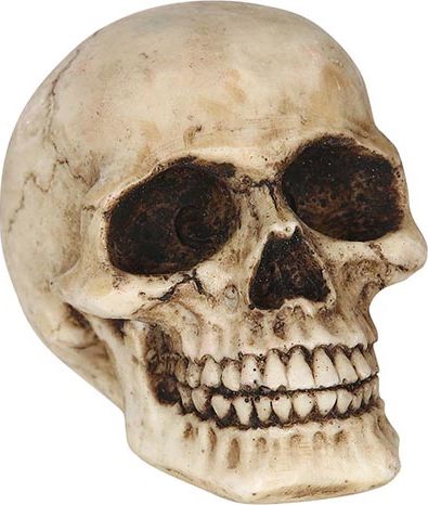 Halloween Kleine Doodskop Decoratie