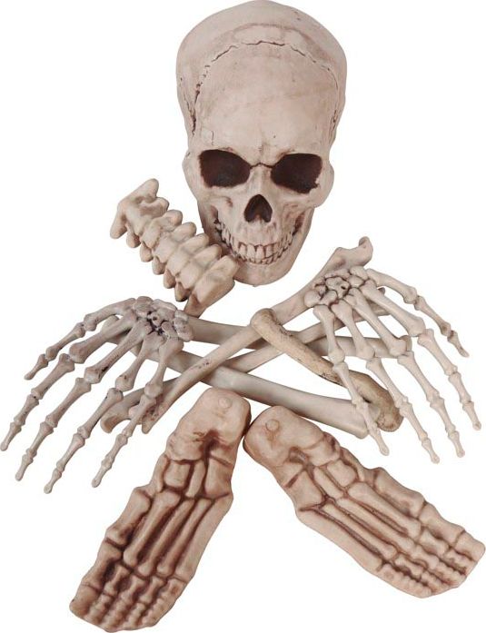 Halloween Losse Skelet Botten Decoratie
