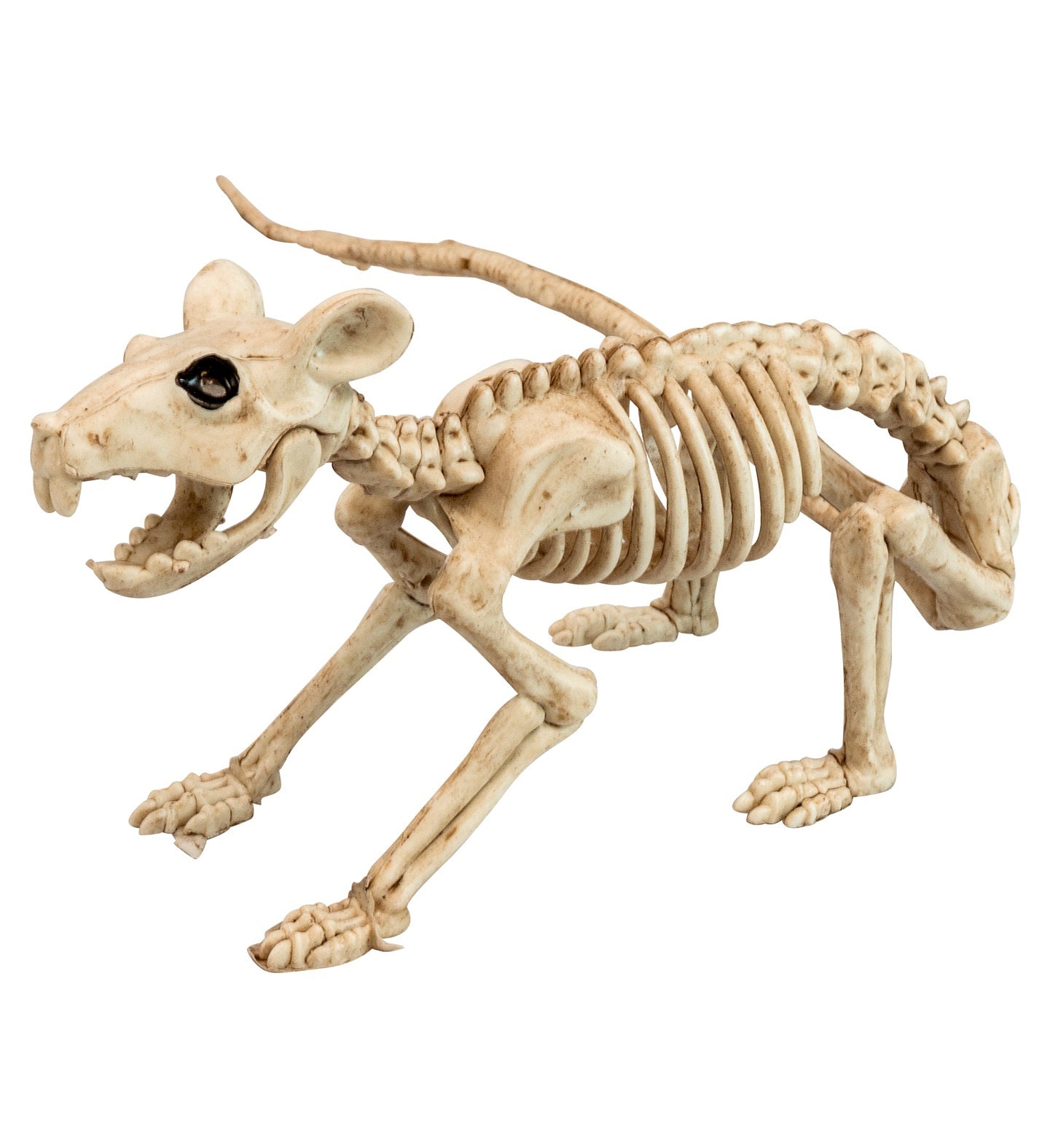 Halloween Ratten Skelet Decoratie
