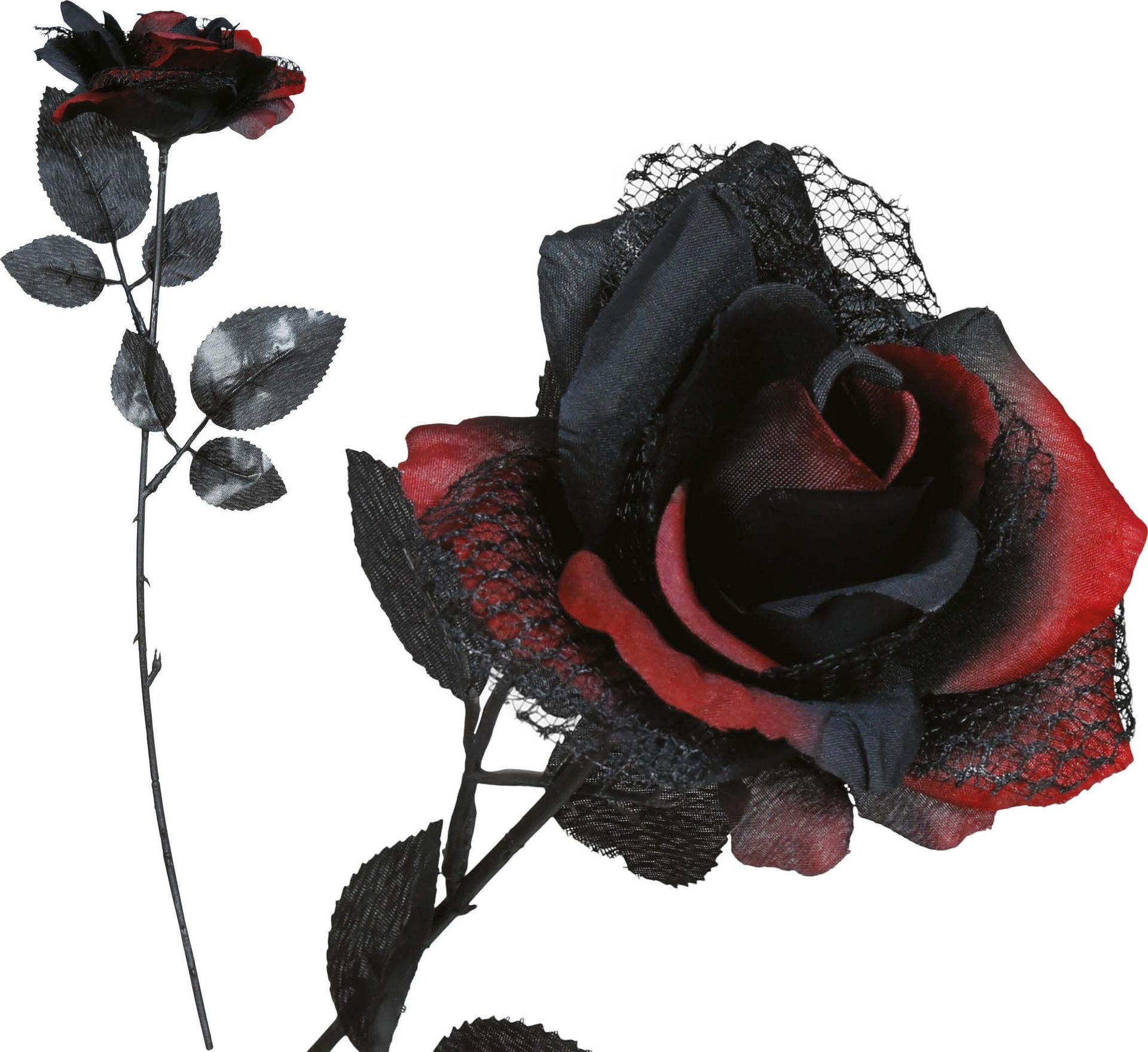 Halloween Rood Zwarte Duistere Roos