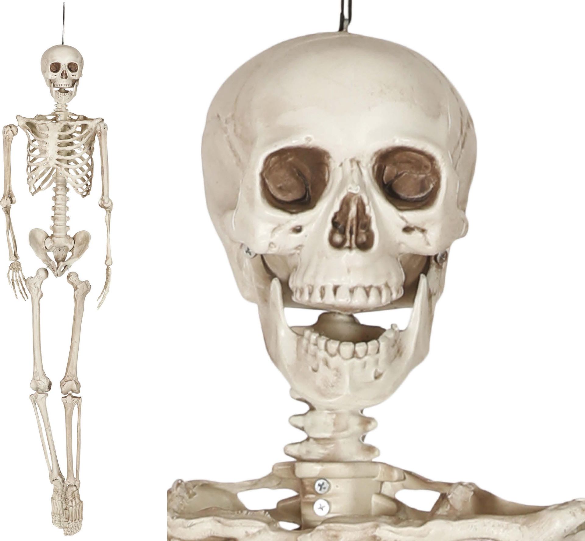 Halloween Skelet 160cm