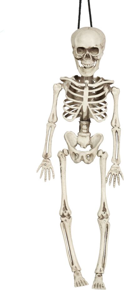 Halloween skelet decoratie