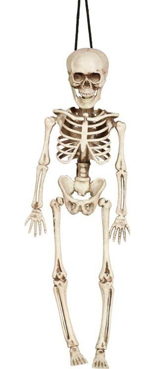 Halloween Skelet Decoratie 40cm