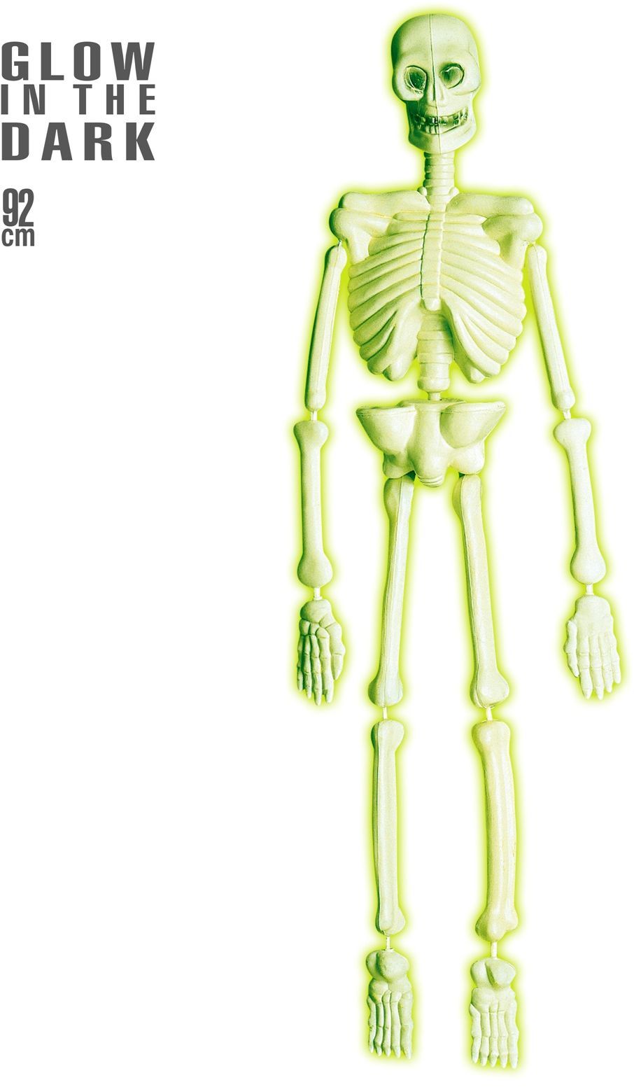 Halloween Skelet Glow In The Dark