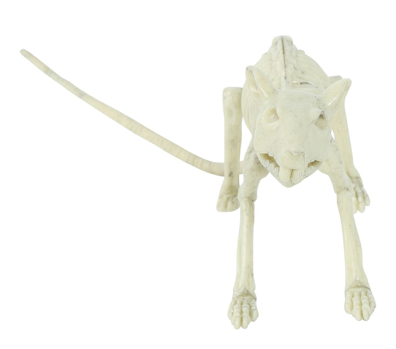 Halloween skelet rat decoratie