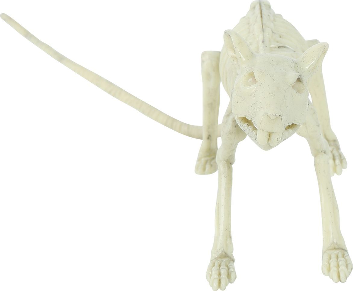 Halloween Skelet Rat Decoratie