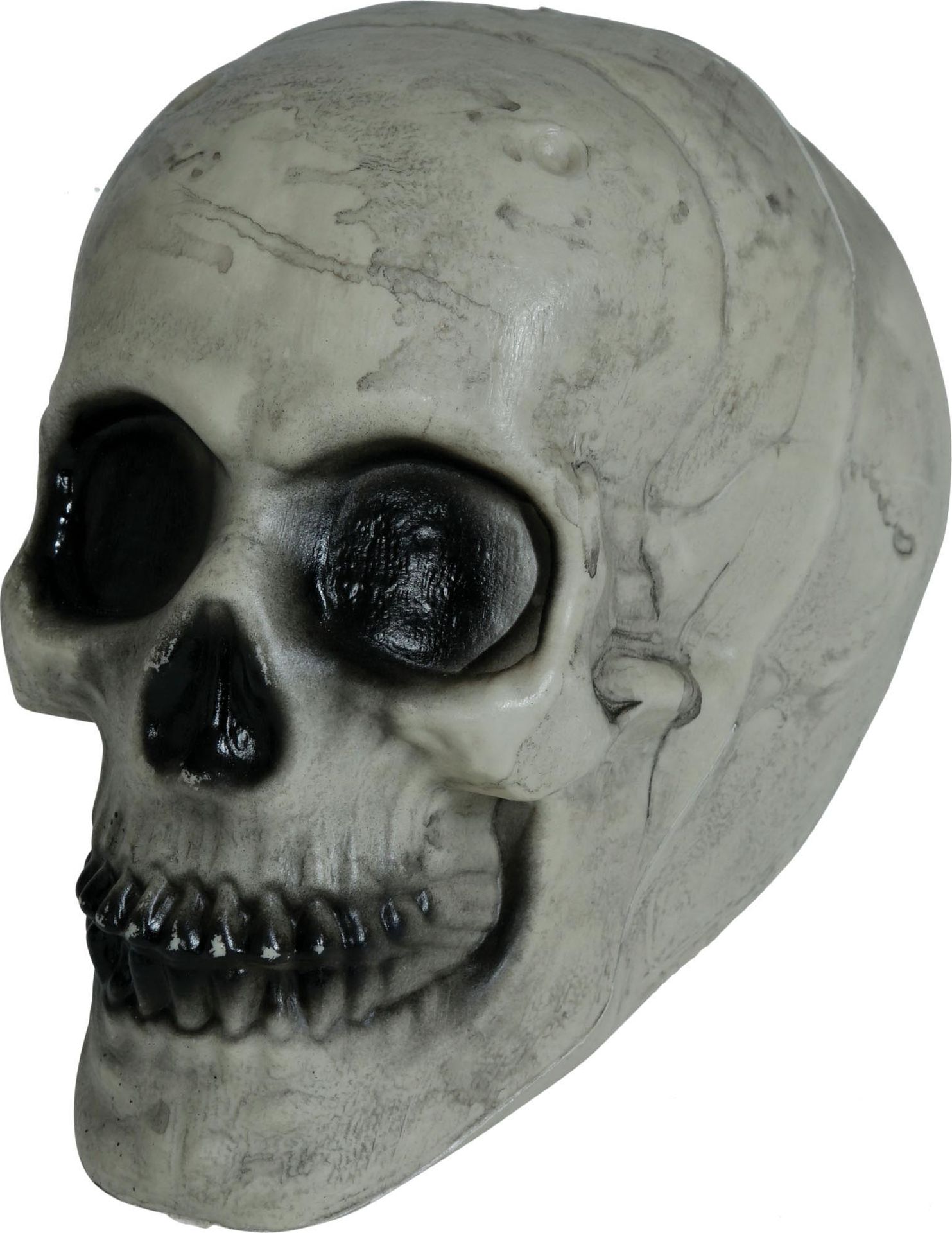 Halloween Skull Doodskop Decoratie