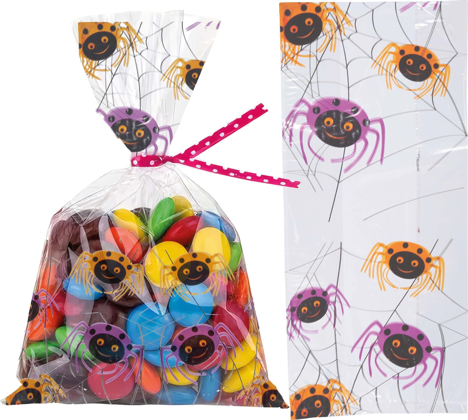 Halloween Snoepzakjes Spinnen