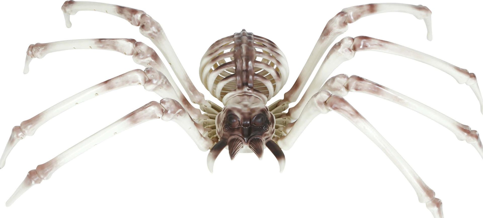 Halloween Spin Skelet Decoratie