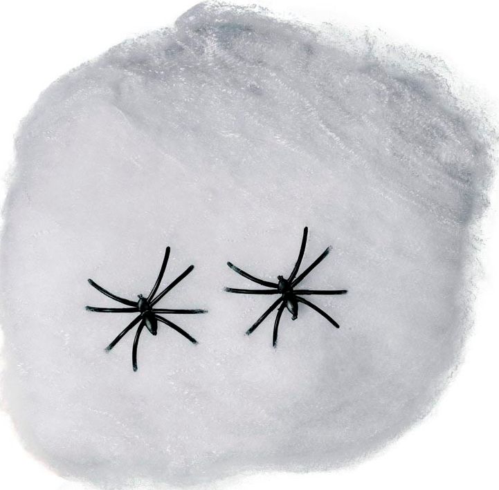 Halloween Spinnenweb 10Gr