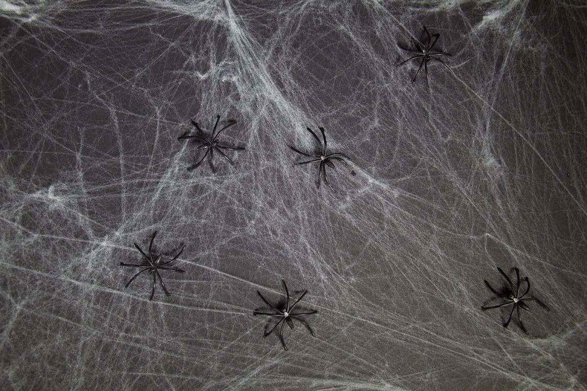 Halloween spinnenweb met 6 spinnen 20 gram