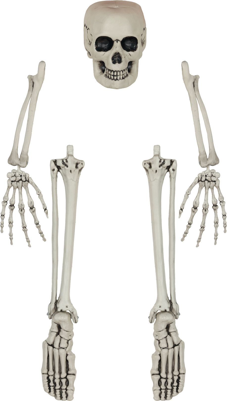 Halloween Wit Skelet Hanger