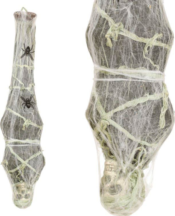 Hangend Skelet In Spinnenweb