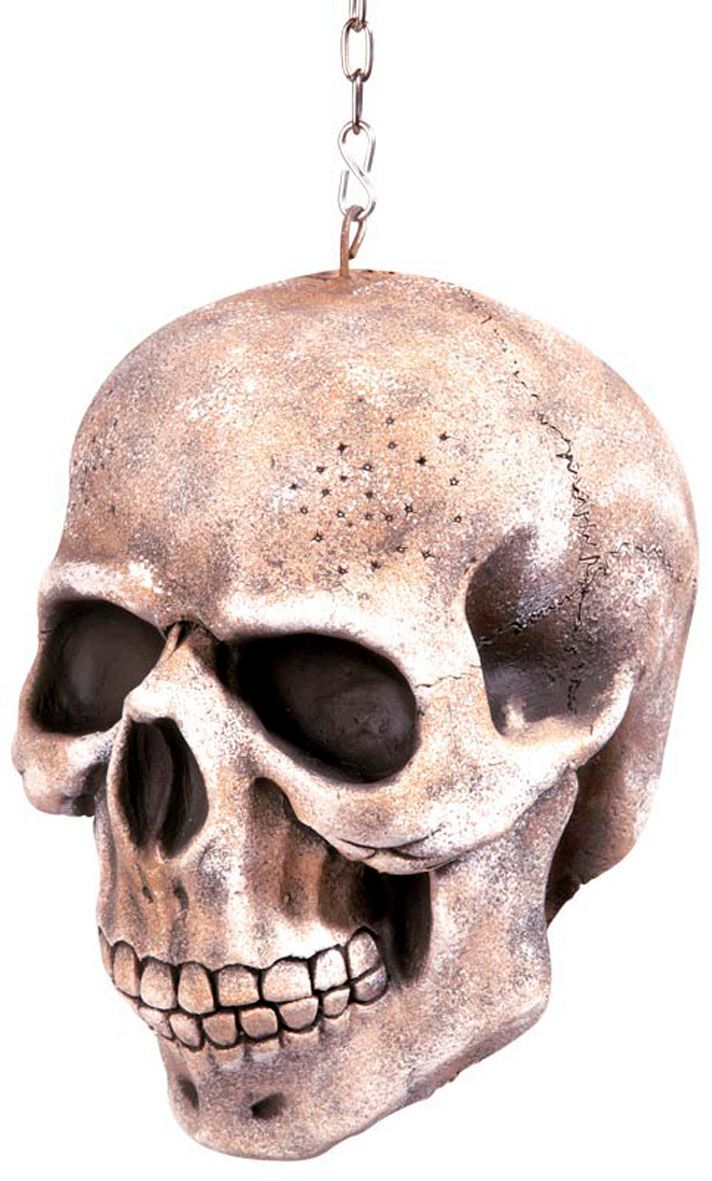 Hangende Schedel Decoratie