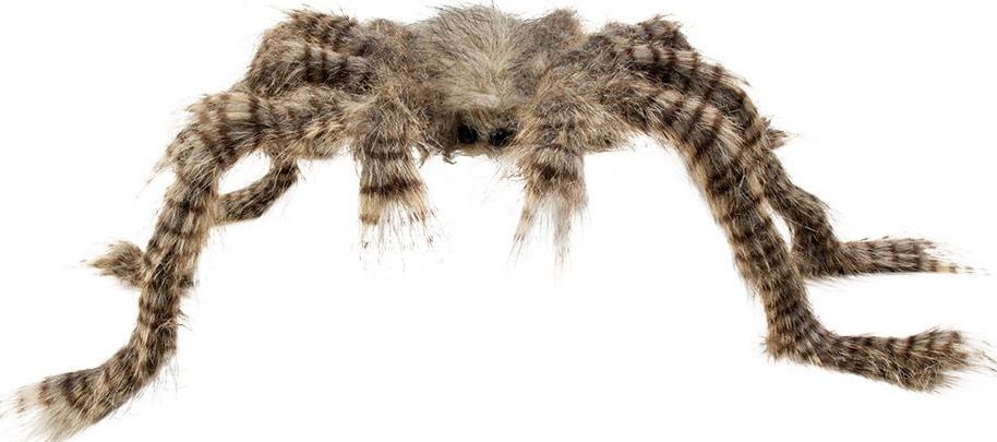 Harige Bruine Vogelspin Halloween Decoratie