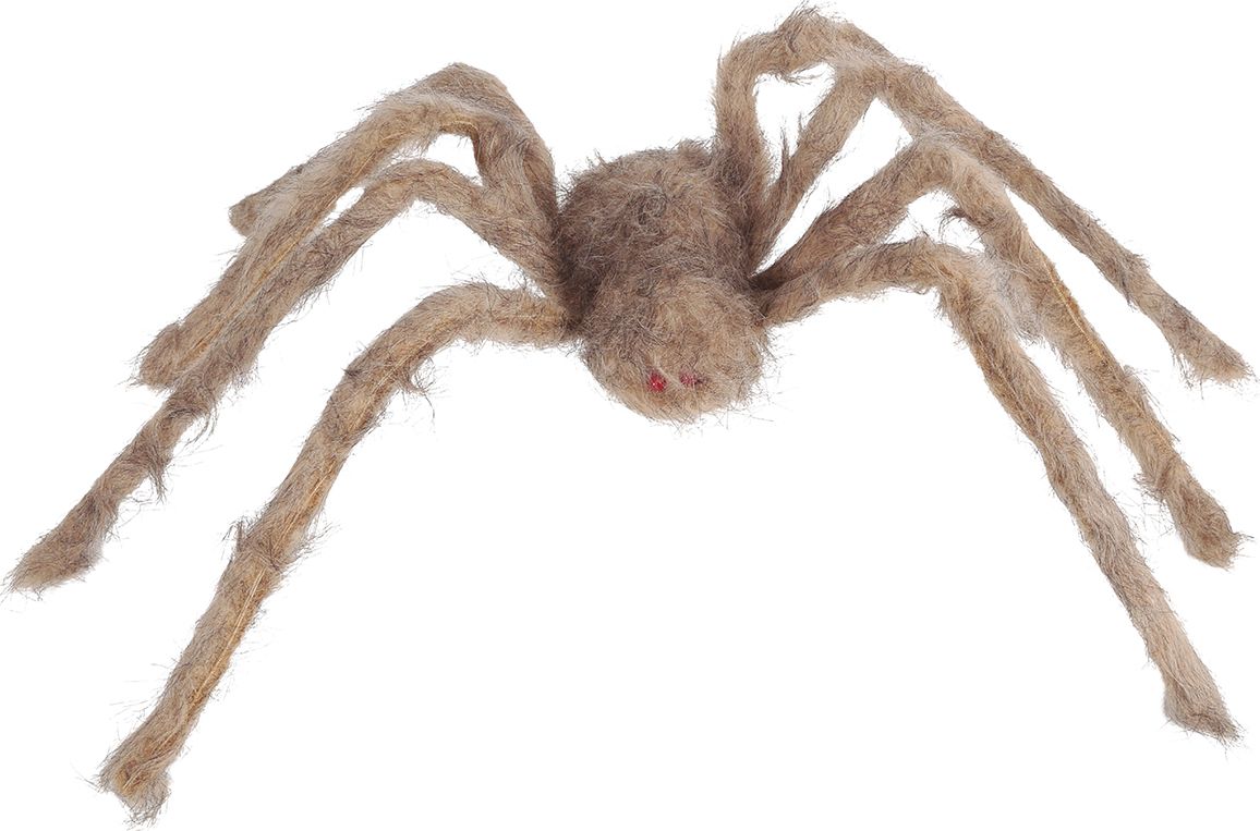 Harige Grijze Vogelspin