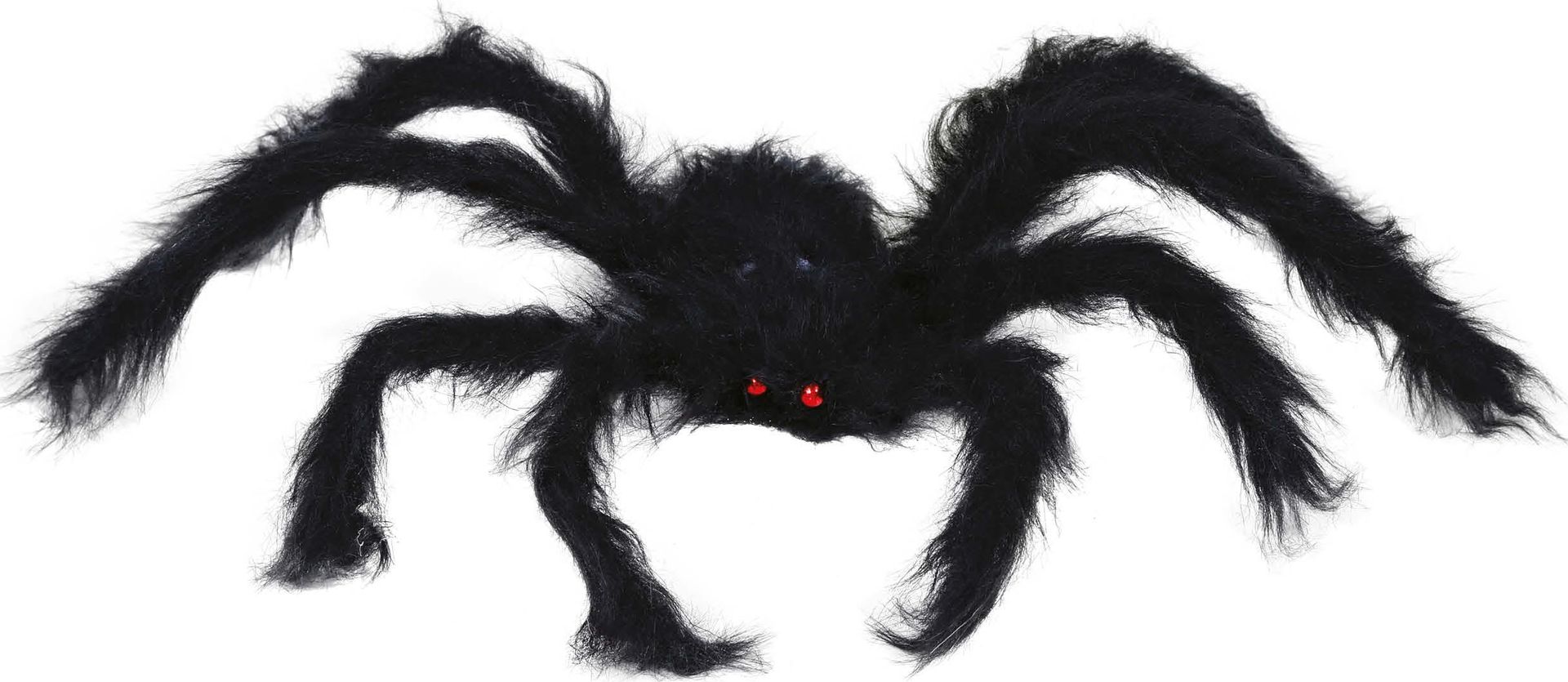 Harige Vogelspin Halloween Zwart