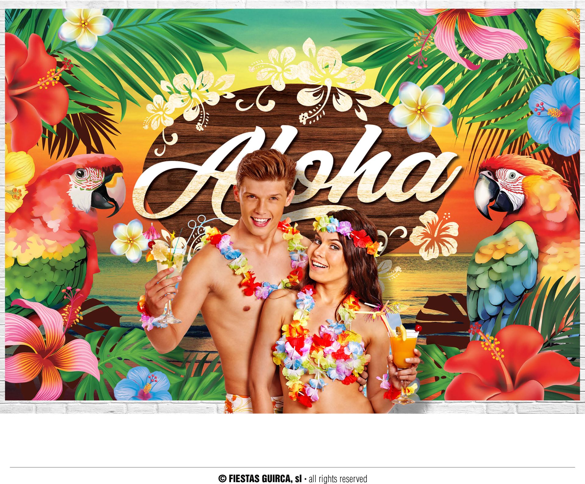 Hawaii Aloha Foto Achtergrond 220X150cm