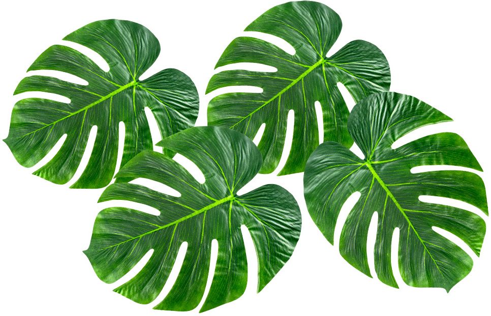 Hawaii groene palmbladeren