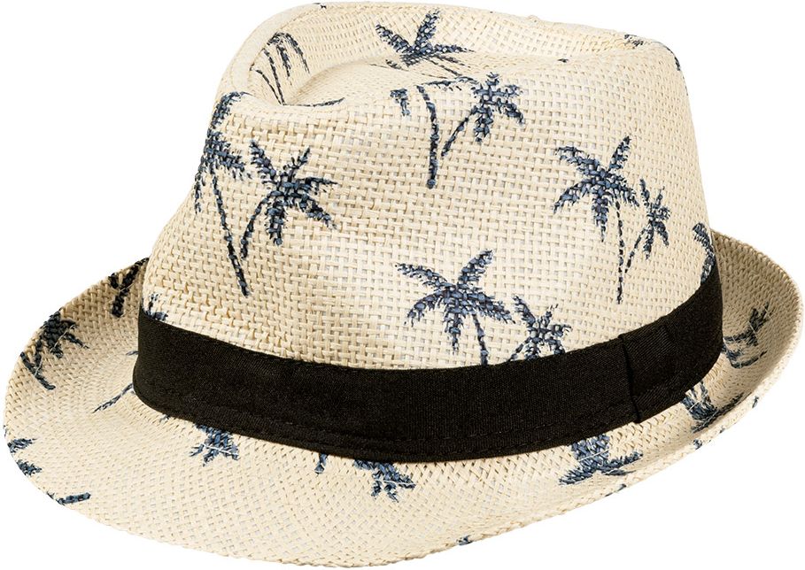 Hawaii hoed met palmbomen